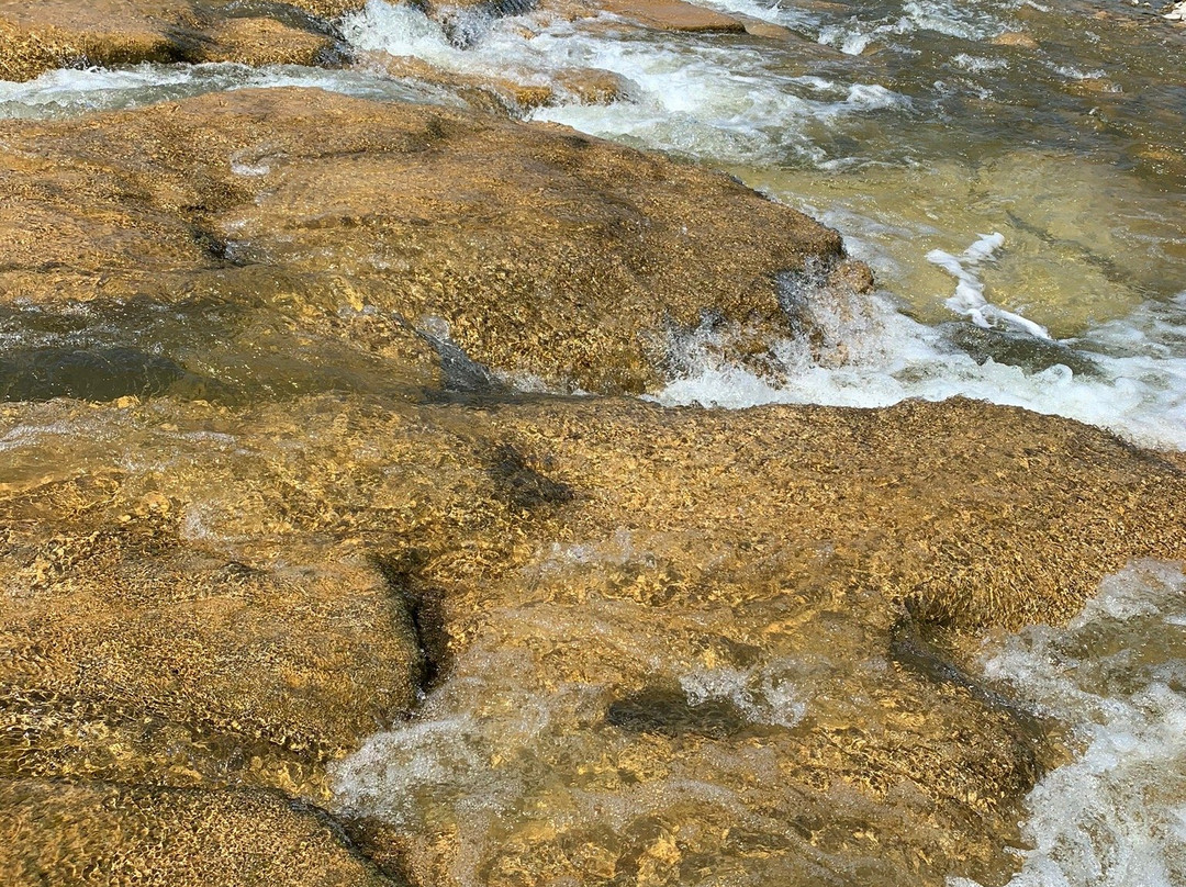 Falls Reserve Conservation Area景点图片