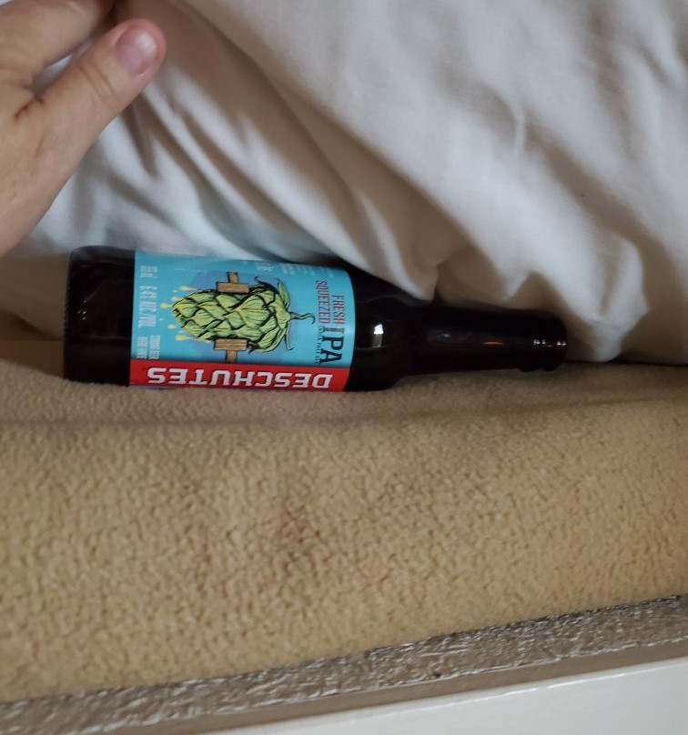 Tamarack Motor Inn主图