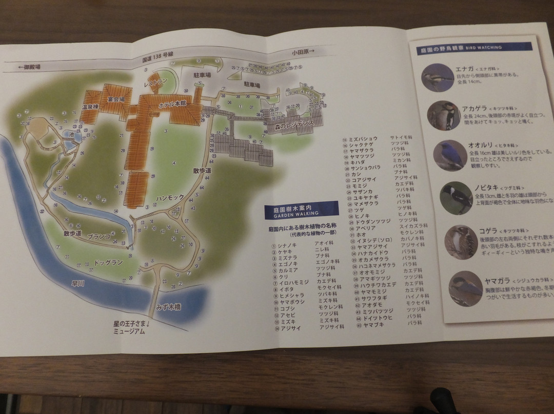 箱根高原饭店主图