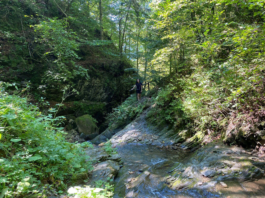 Trout Farm Eco-Trout-Yavoriv必去景点