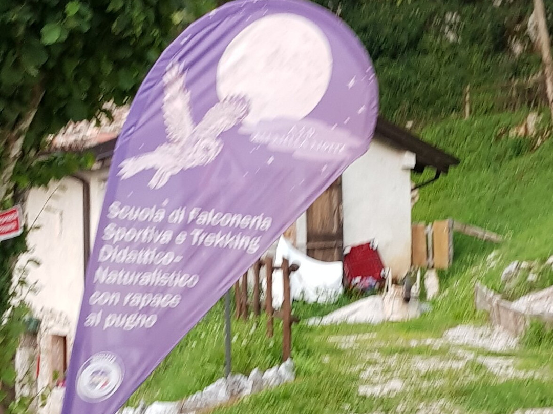 L'altopiano Di Monte Prat Da Forgaria