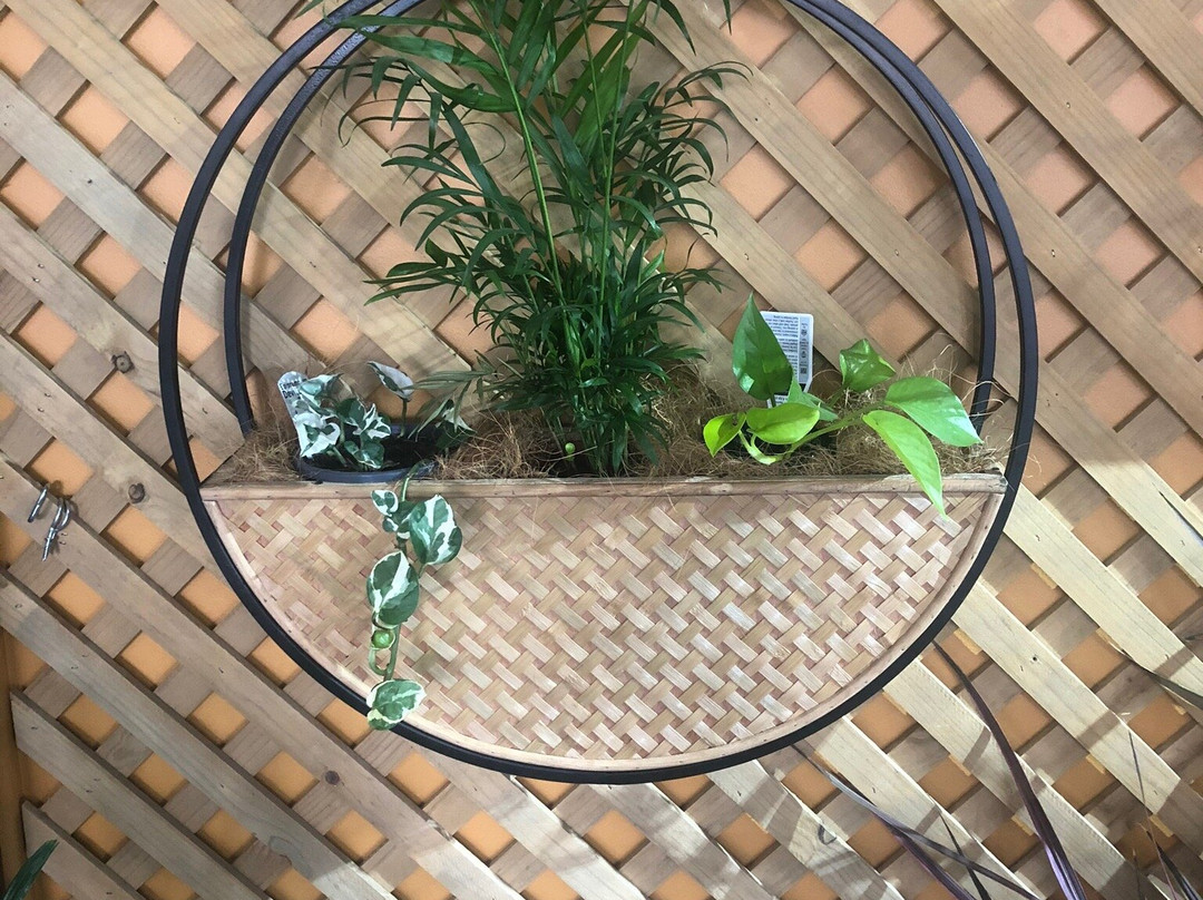 Yamba旅游景点-Rustons Distillery