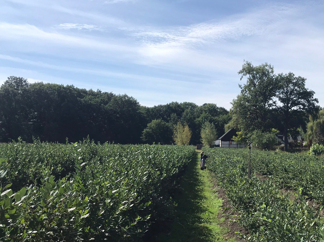 Boukoul旅游攻略图片