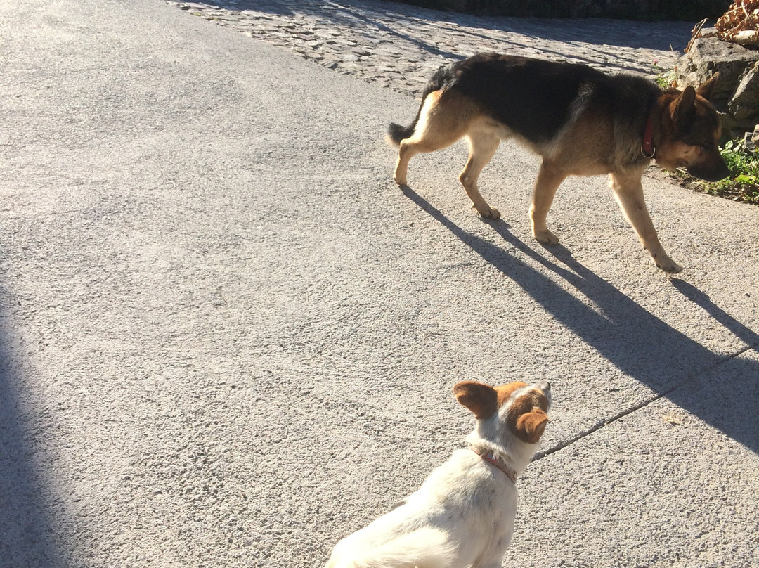 Hotel Rural Genestoso主图