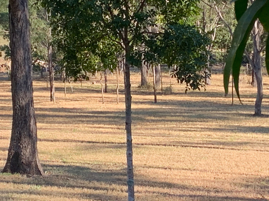 Hideaway Haven Bed and Breakfast主图