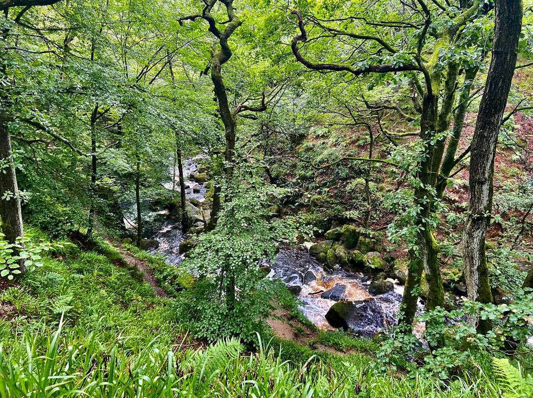 Padley Gorge景点图片