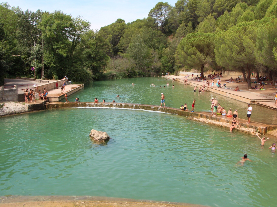 Piscine Naturelle Salernes景点图片