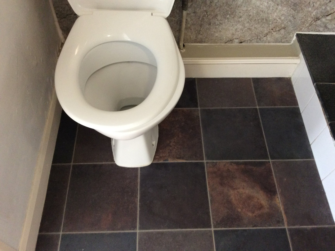 Cavendish Arms主图