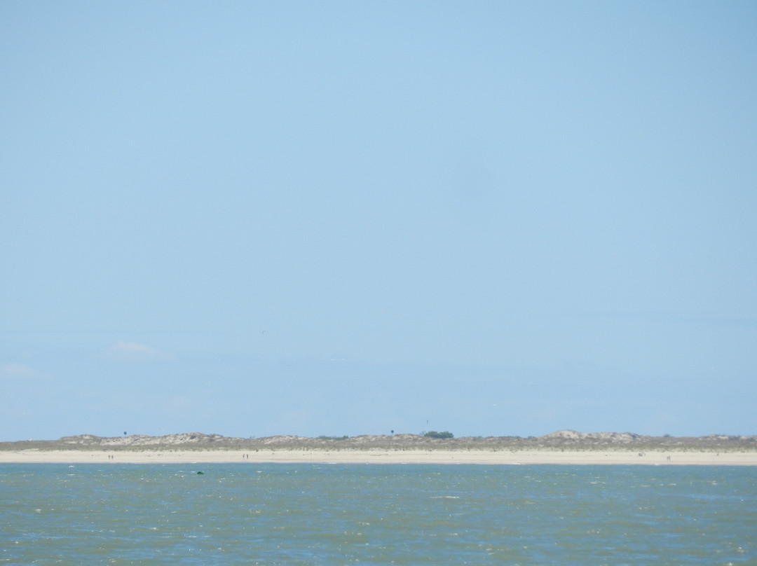 Plage de la Lede景点图片