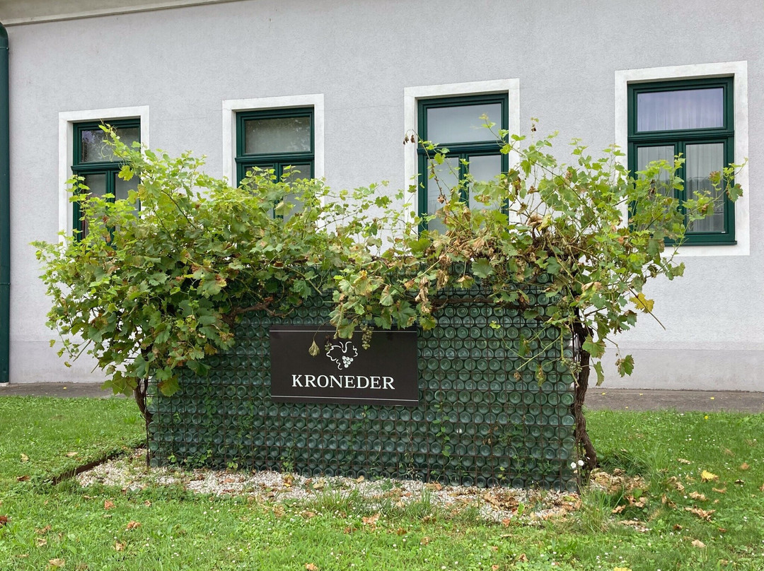 Weinbau - Gästezimmer Kroneder主图