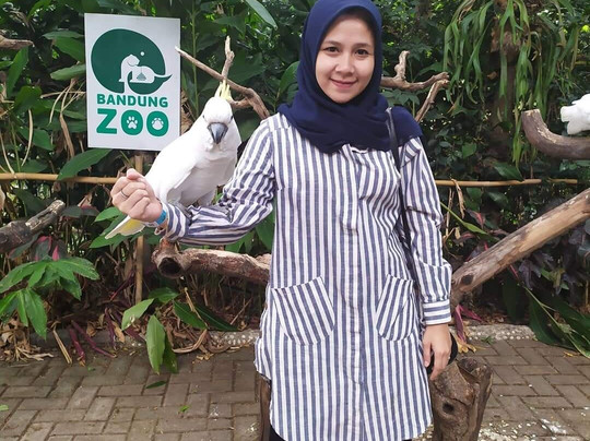 Bandung Zoo-万隆必去景点