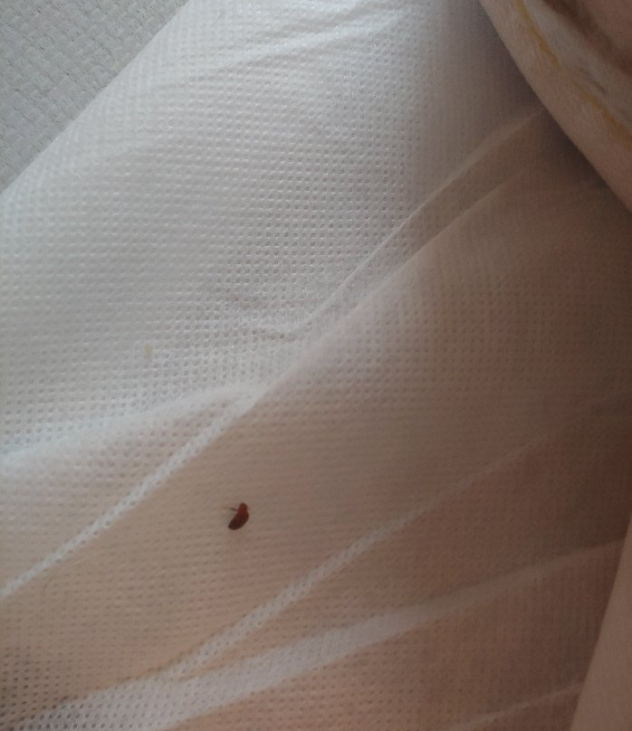 Hampton Inn & Suites Lavonia主图