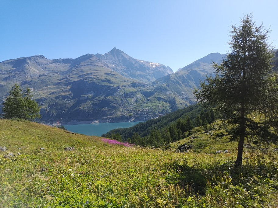 Sentier Botanique景点图片