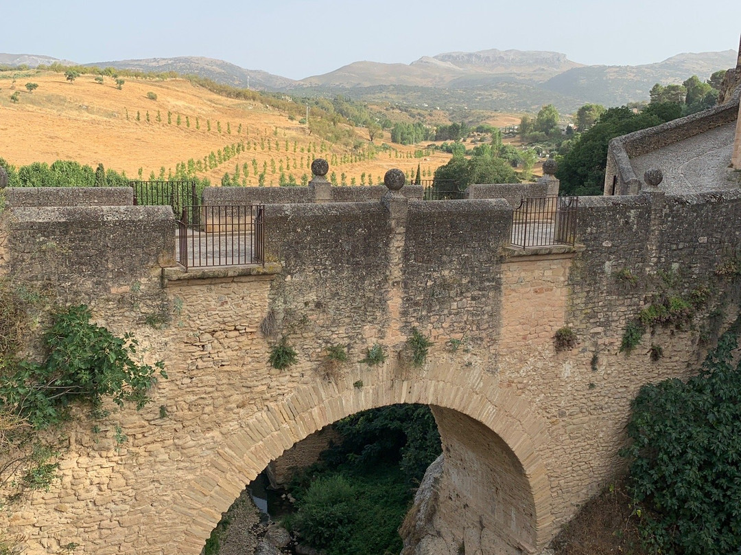 Alcazaba de Ronda景点图片