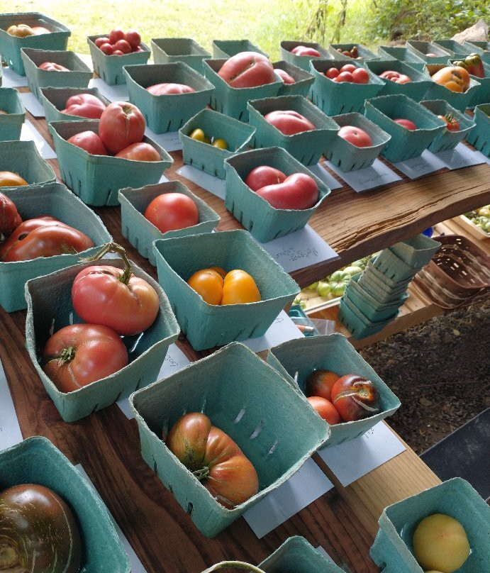 Rainbow Tomatoes Garden景点图片