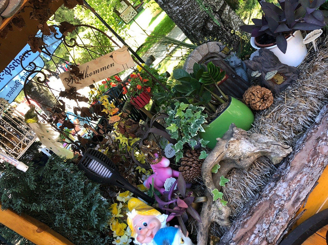 Schongauer Marchenwald und Tierpark-Schongau必去景点