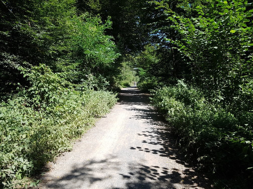 Neanderland Steig-Mettmann必去景点