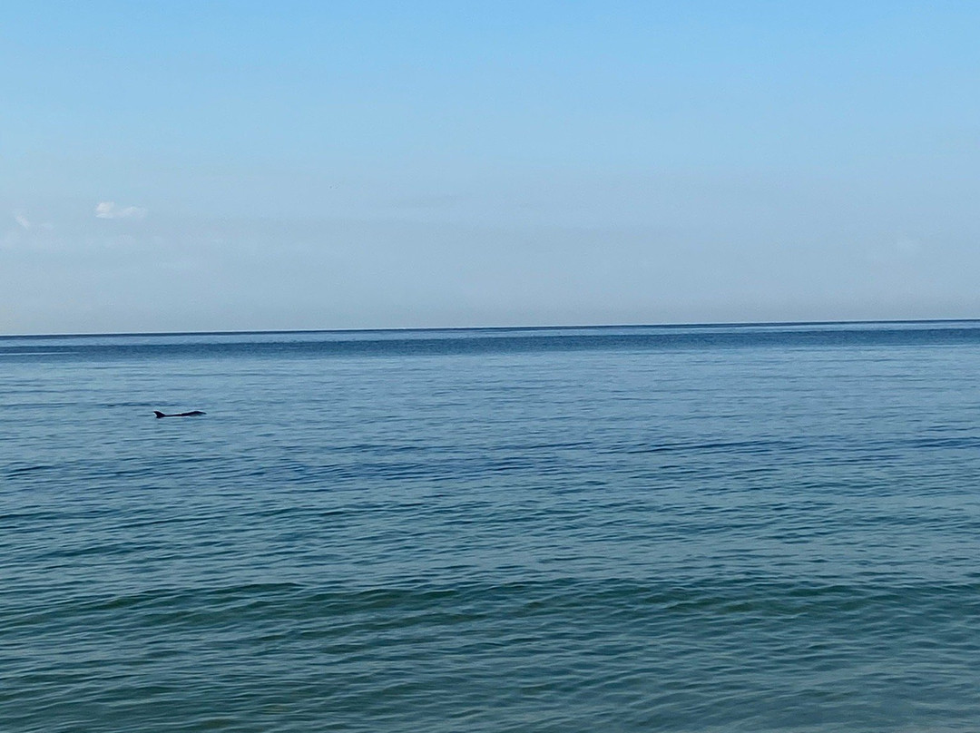 Gulf Shores Public Beach-格尔夫海岸必去景点