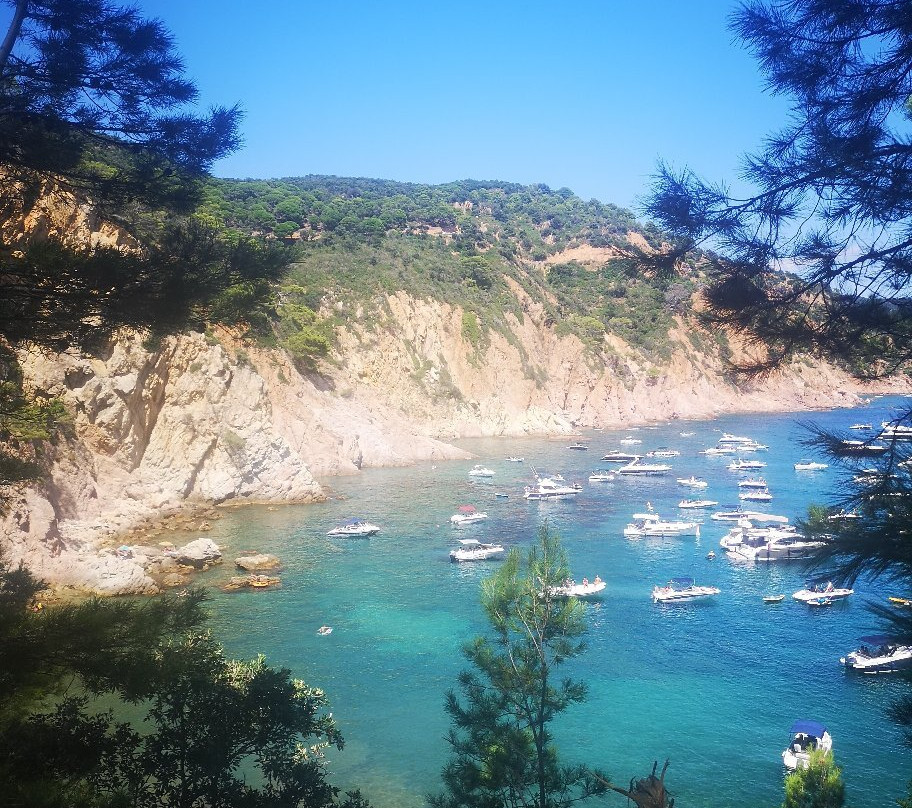 Cala Futadera景点图片