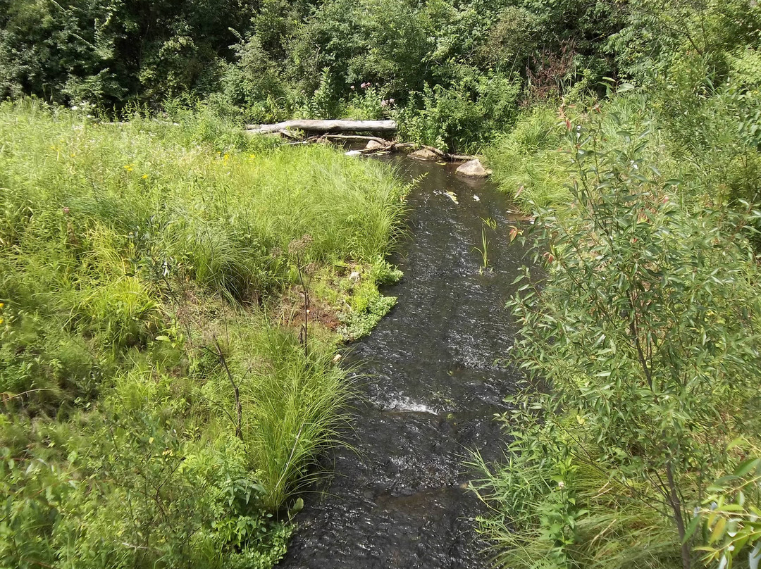 Red Mill County Park景点图片