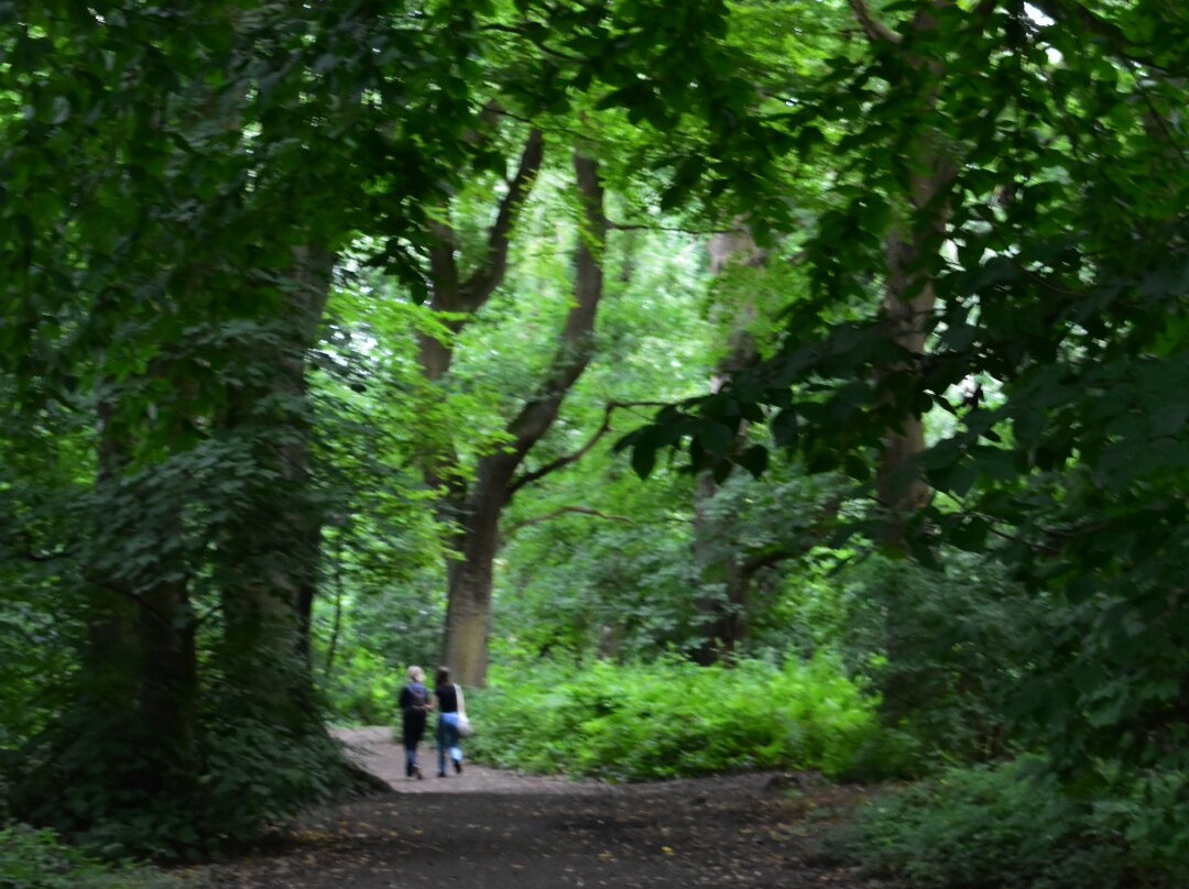 Marbury Country Park景点图片