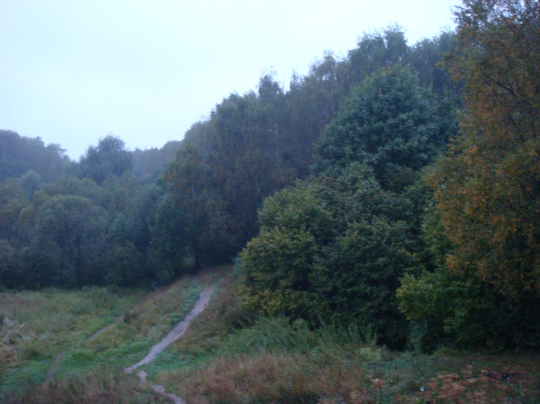 Landscape Reserve Tyoply Stan-莫斯科必去景点