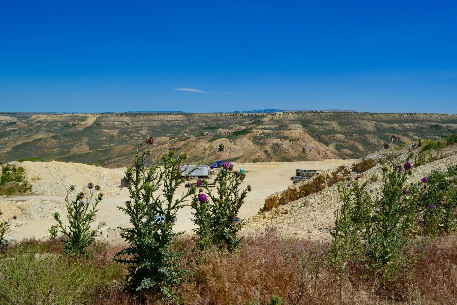 Fossil Lake Safari By Fossilera Adventures景点图片