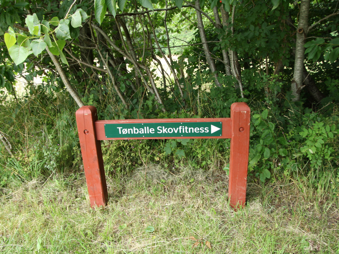 Tønballe Naturcenter景点图片