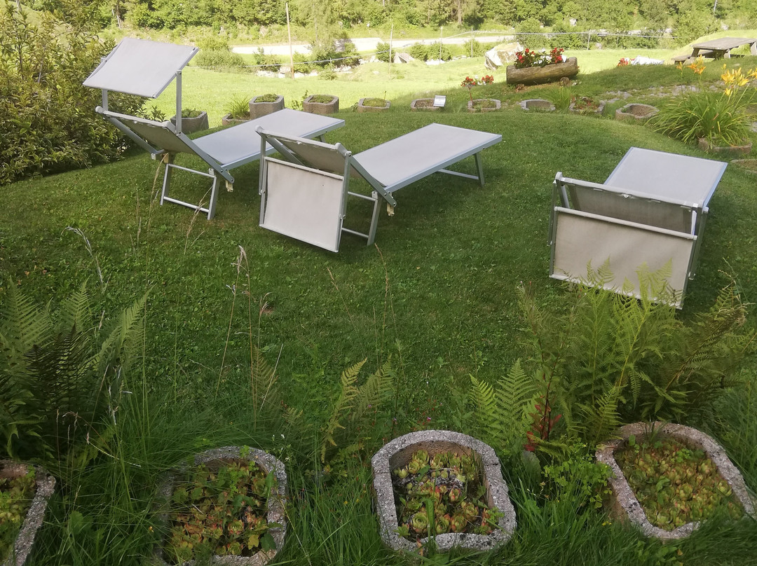 Chalet Val di Rabbi主图