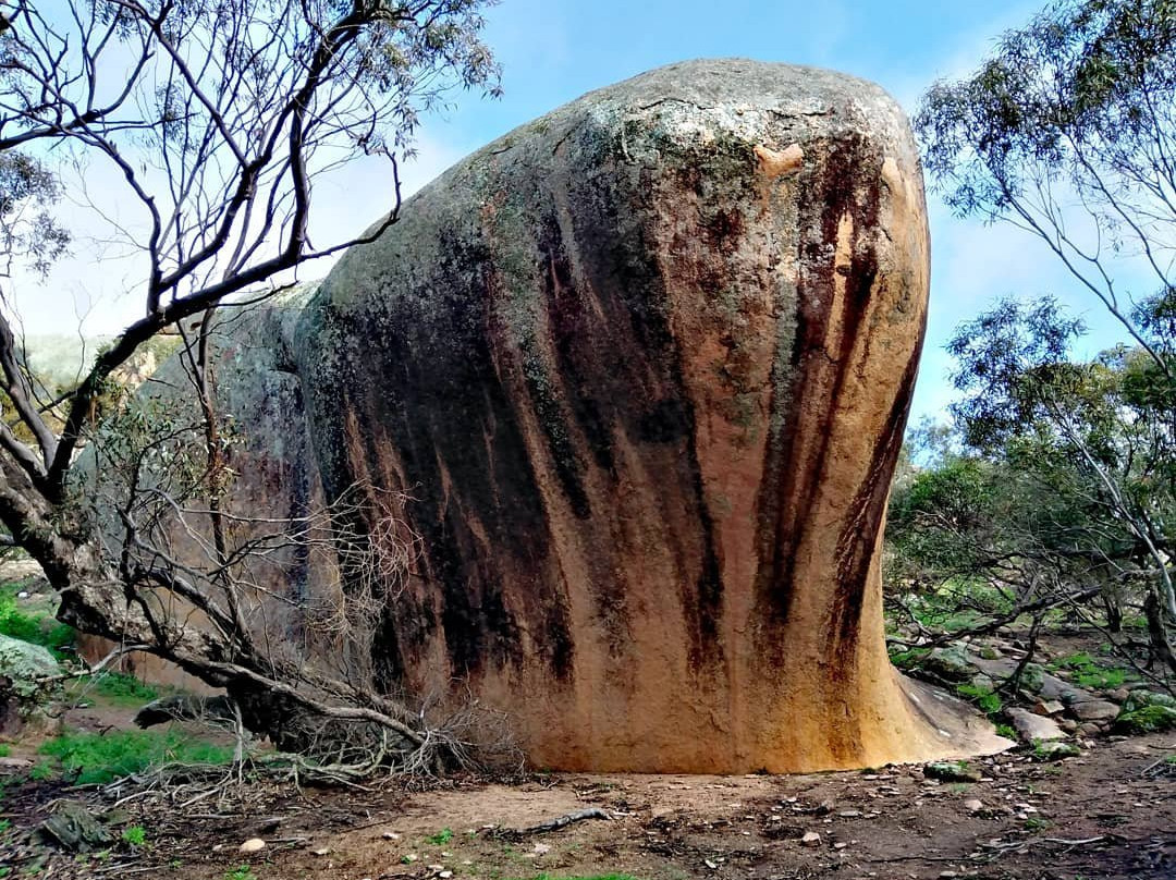 Gawler Ranges Motel & Caravan Park主图