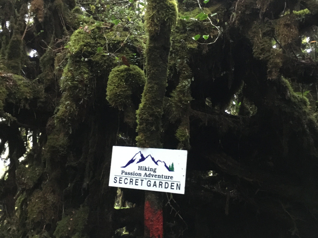 Gunung Irau (Mount Irau)-碧兰璋必去景点