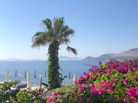 卡查特酒店主图