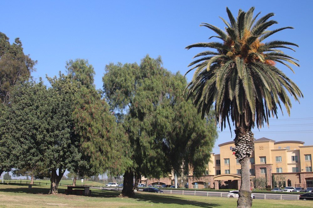 Neal Snipe's Park, Norco景点图片