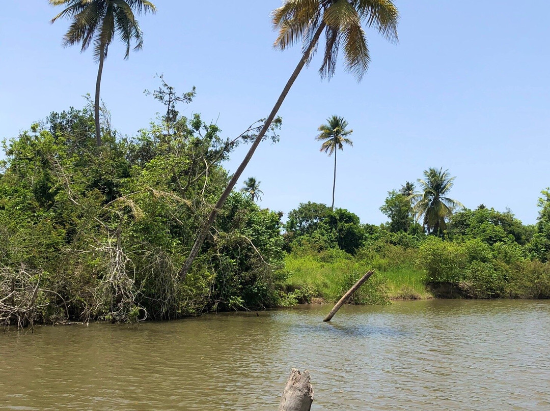 La Paseadora del Río Espíritu Santo-Rio Grande必去景点