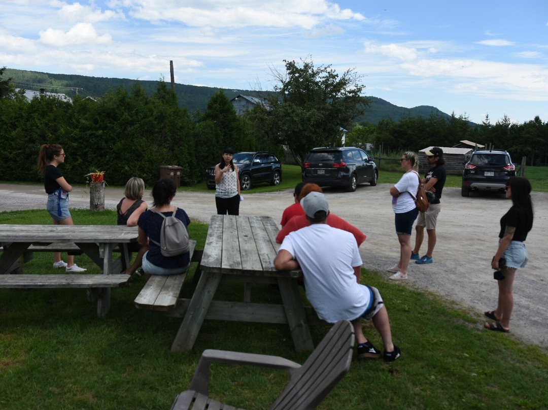 Zofa Excursions-魁北克市必去景点