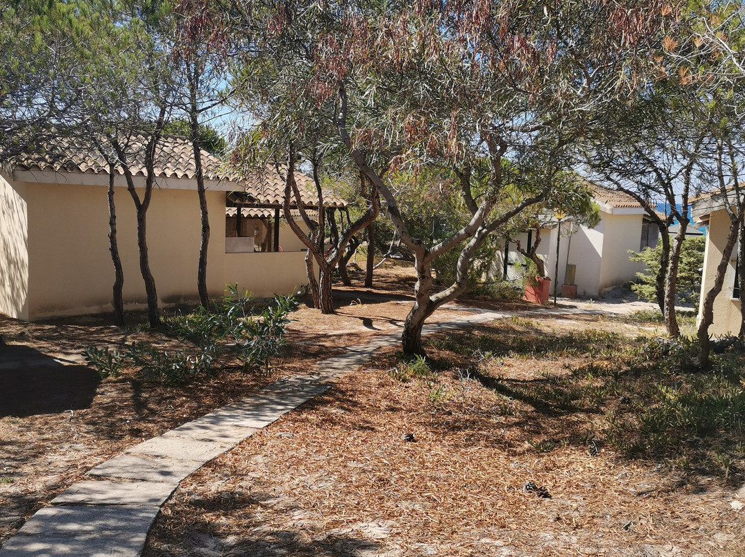 高尔夫阿心那拉营地旅馆主图