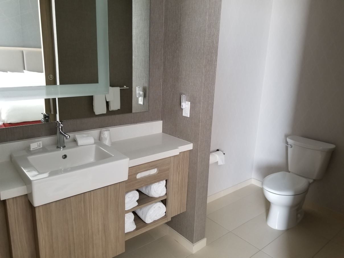 纽华克市区SpringHill Suites酒店-浴室