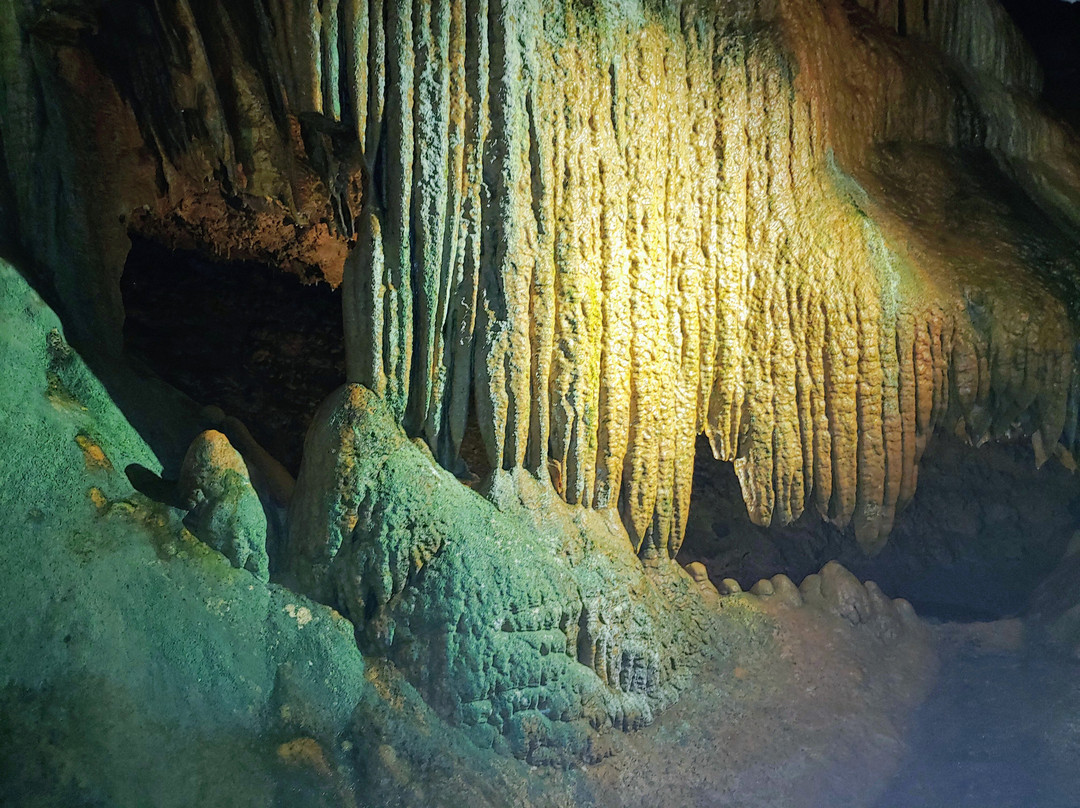 Caverns At Natural Bridge景点图片