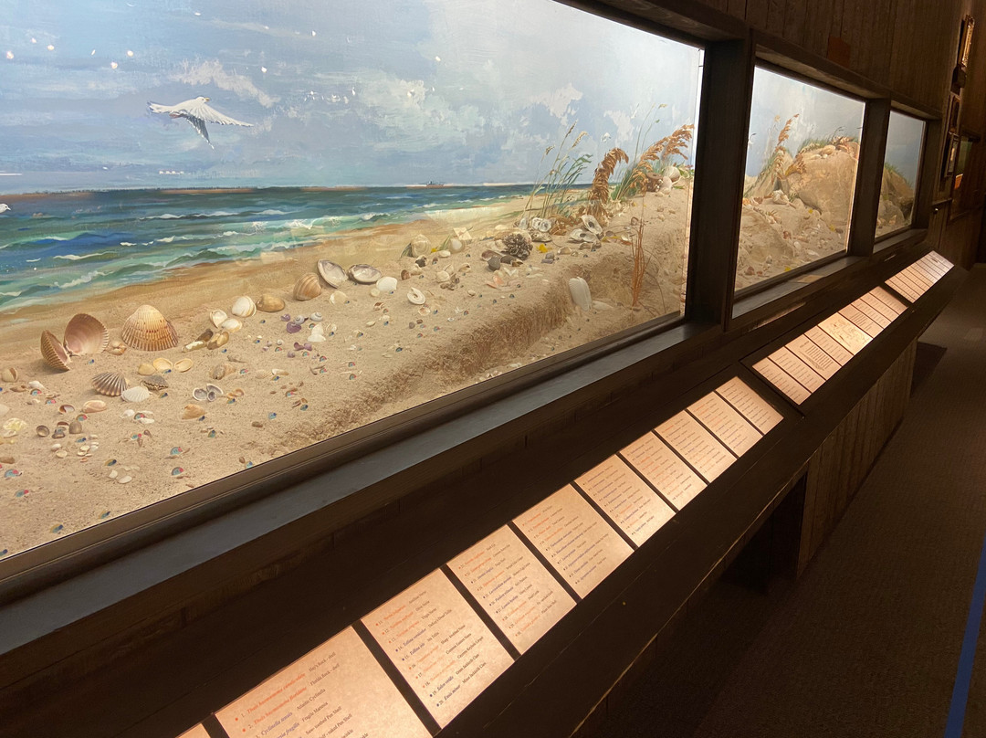 Brazosport Museum of Natural Science-Clute必去景点