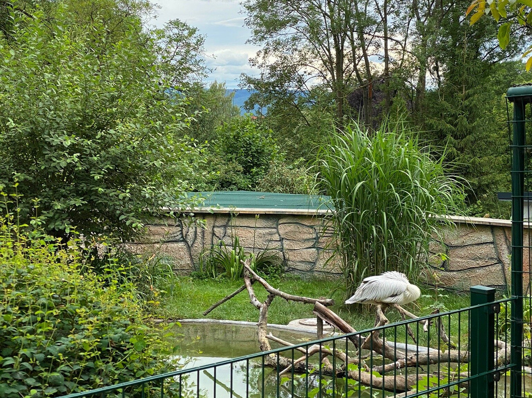 Tierpark Bad Liebenstein-Bad Liebenstein必去景点