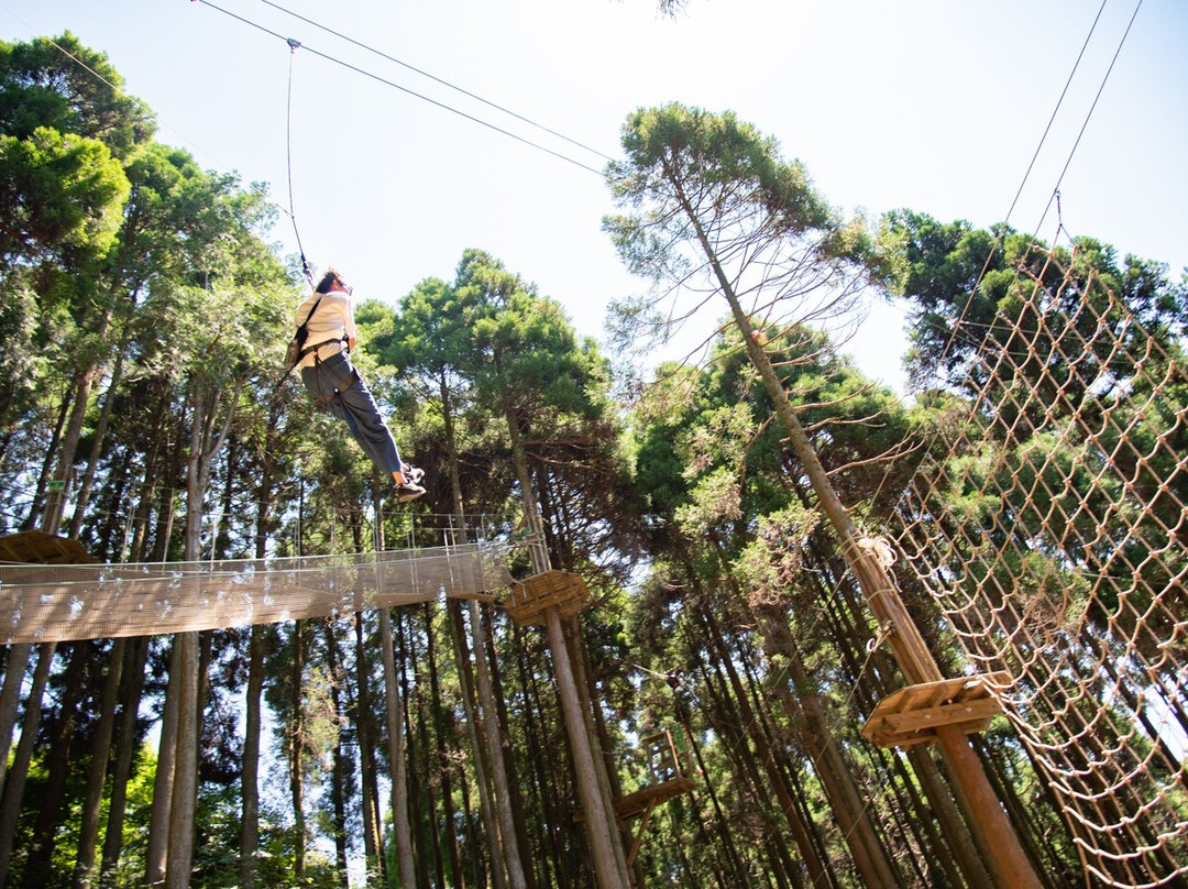 Forest Adventurre Yoshinogari景点图片