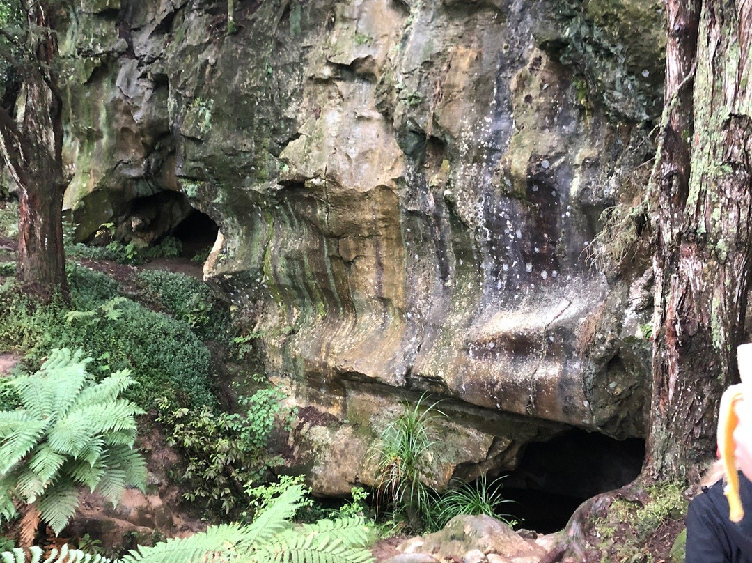 Waipu Caves Scenic Preserve景点图片