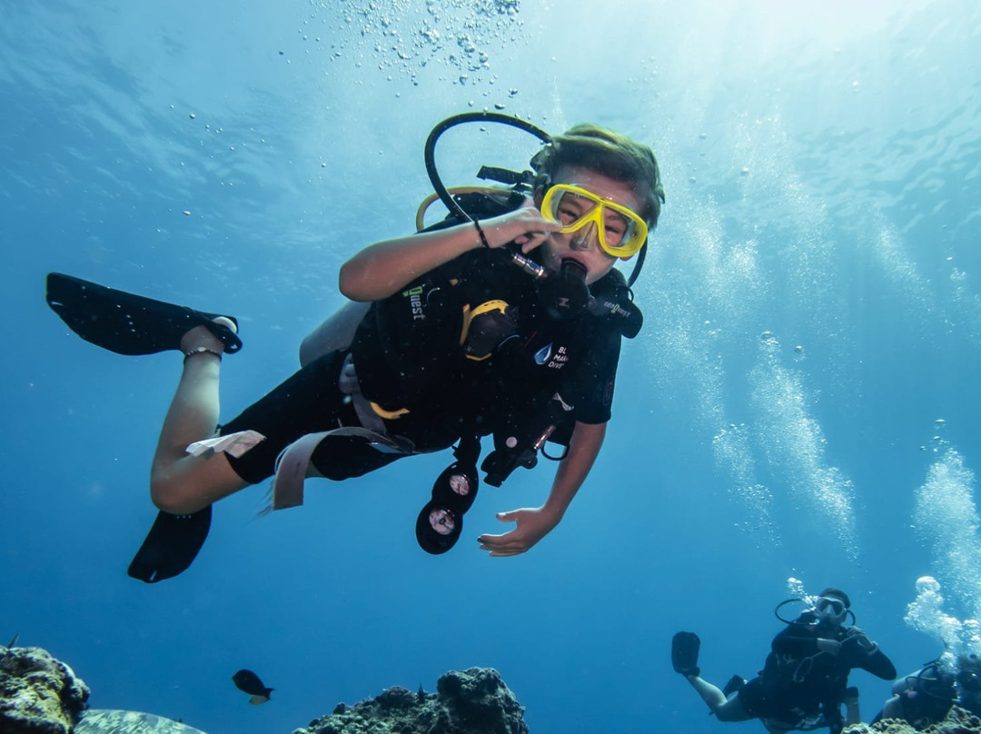 蓝海浮潜中心-Gili Air必去景点