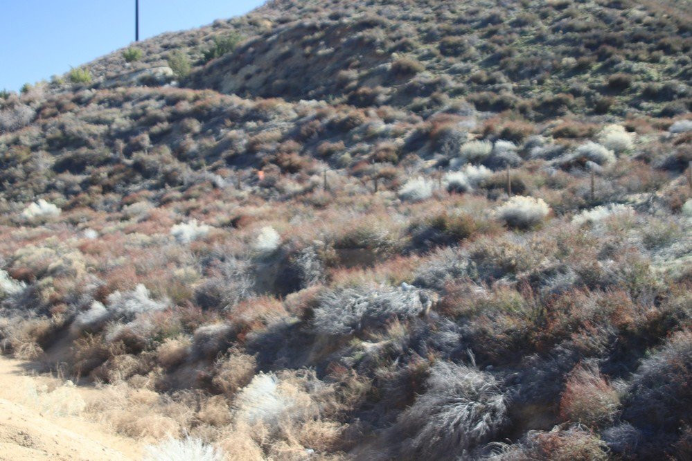California Aqueduct Vista Point-Newman必去景点