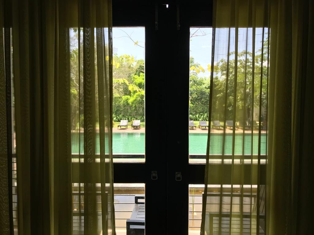 Oak Ray Wild Yala主图