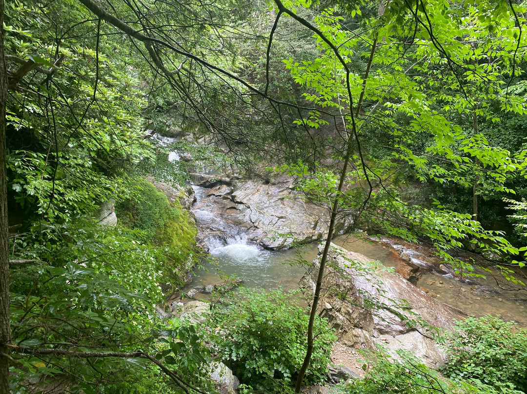 Laurel Creek Falls-布恩必去景点