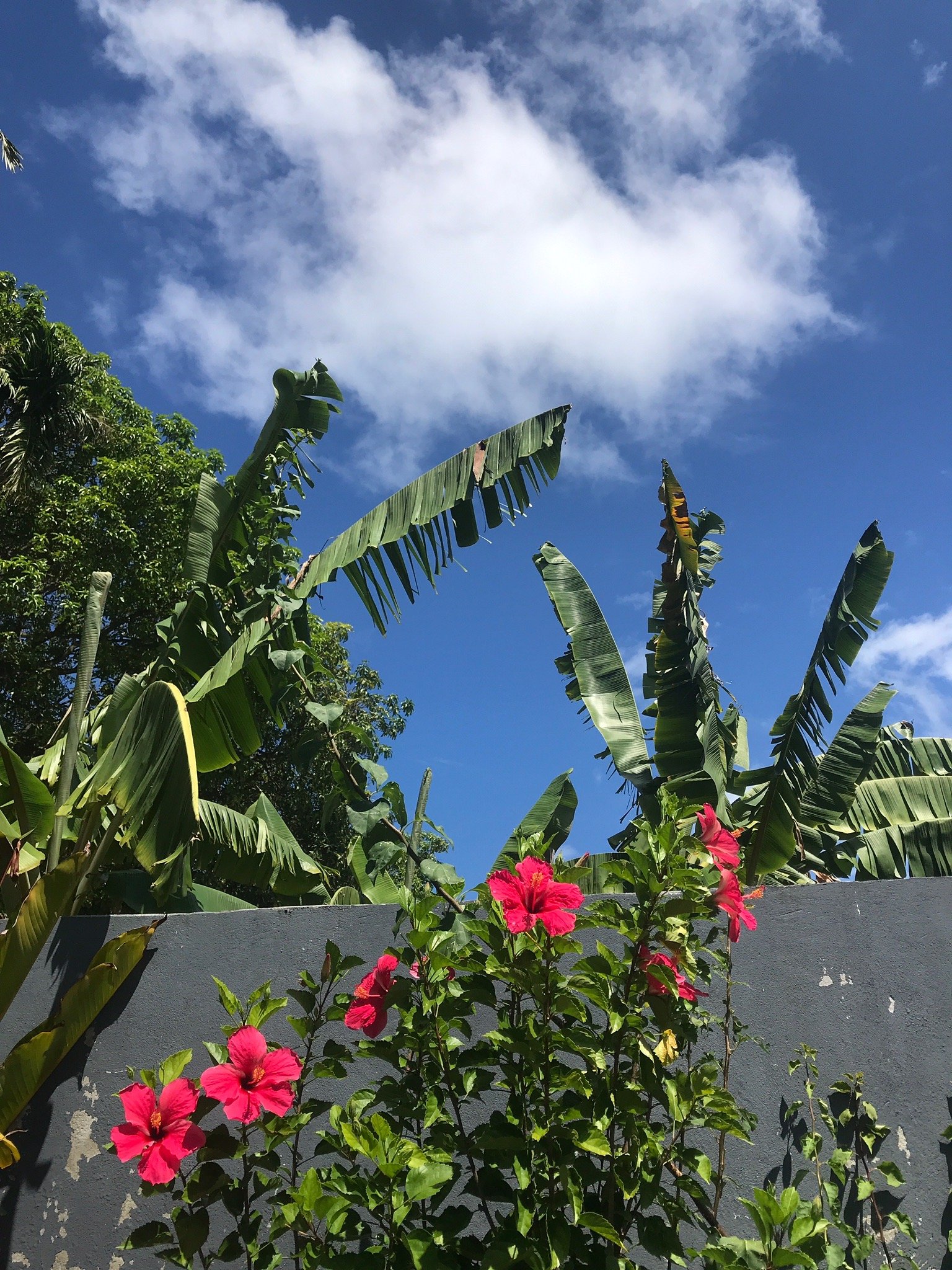 Equator HomeStay-官方