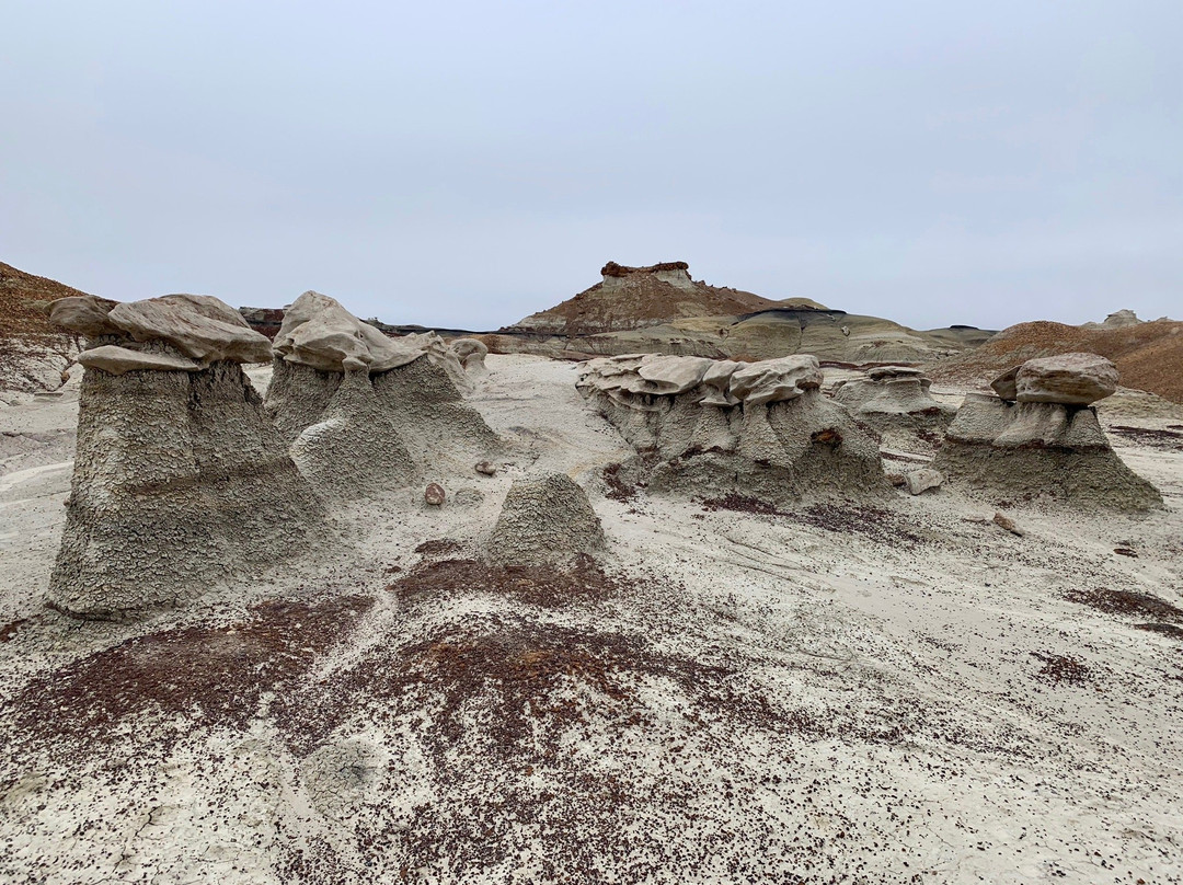 Bisti/De-Na-Zin Wilderness-Bloomfield必去景点