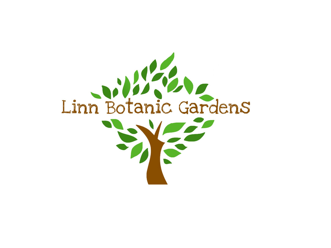 Linn Botanic Gardens景点图片