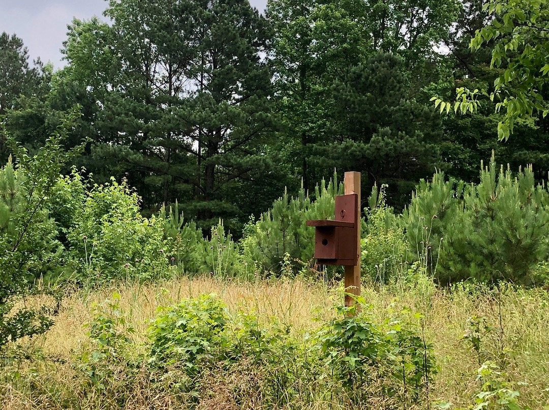 McDaniel Farm Park-杜鲁斯必去景点